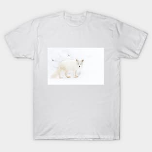 Arctic Fox T-Shirt